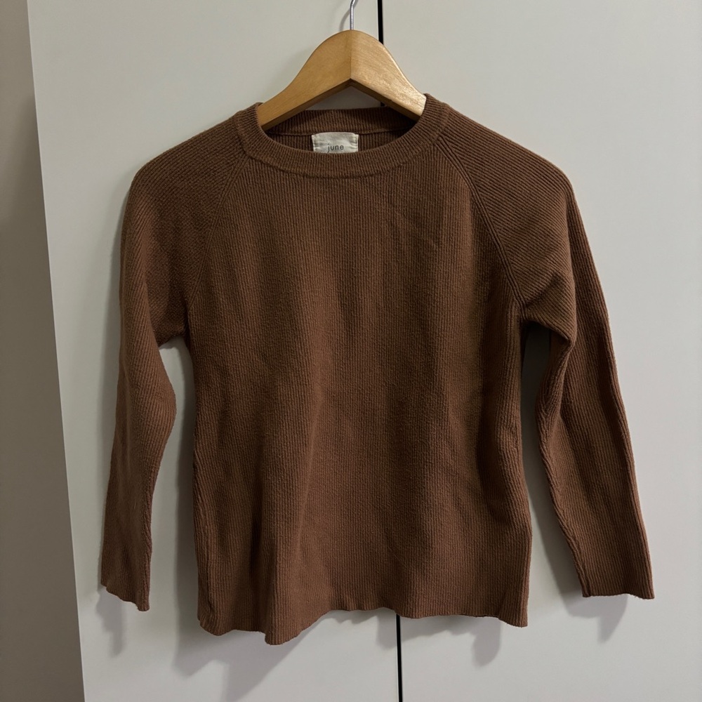 June Brown Knit Sweater